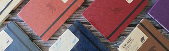 3 Raisons pour choisir un carnet Dingbats comme bullet journal