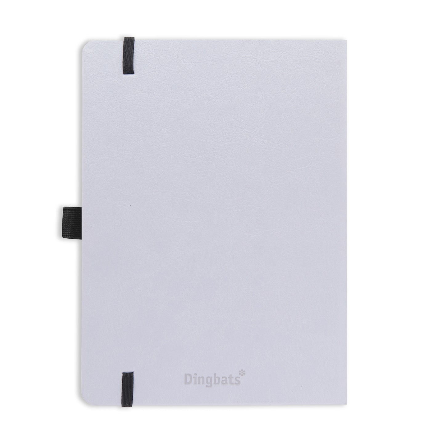 Dingbats Earth A5+ Glicine Arctic Notebook