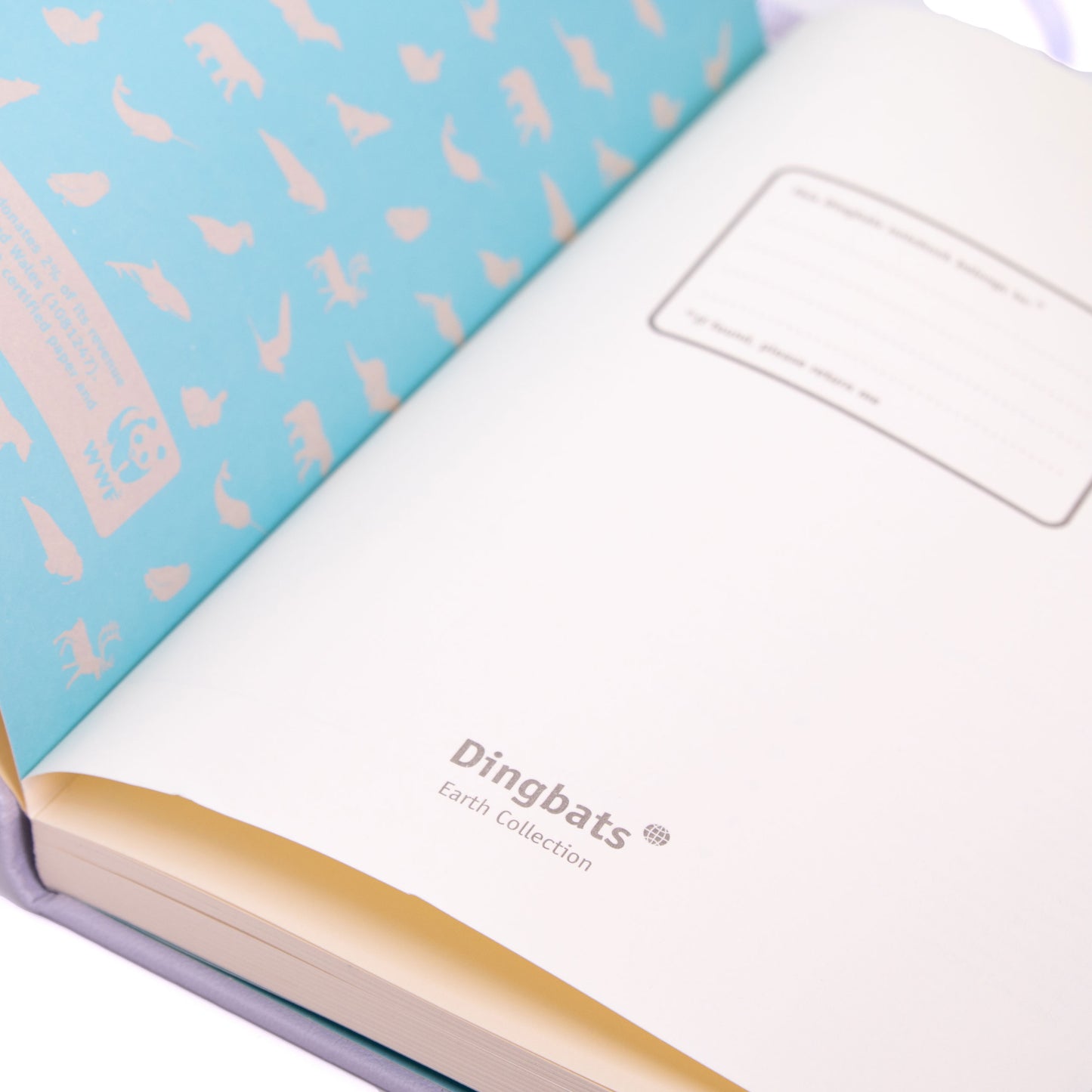 Dingbats Earth A5+ Glicine Arctic Notebook