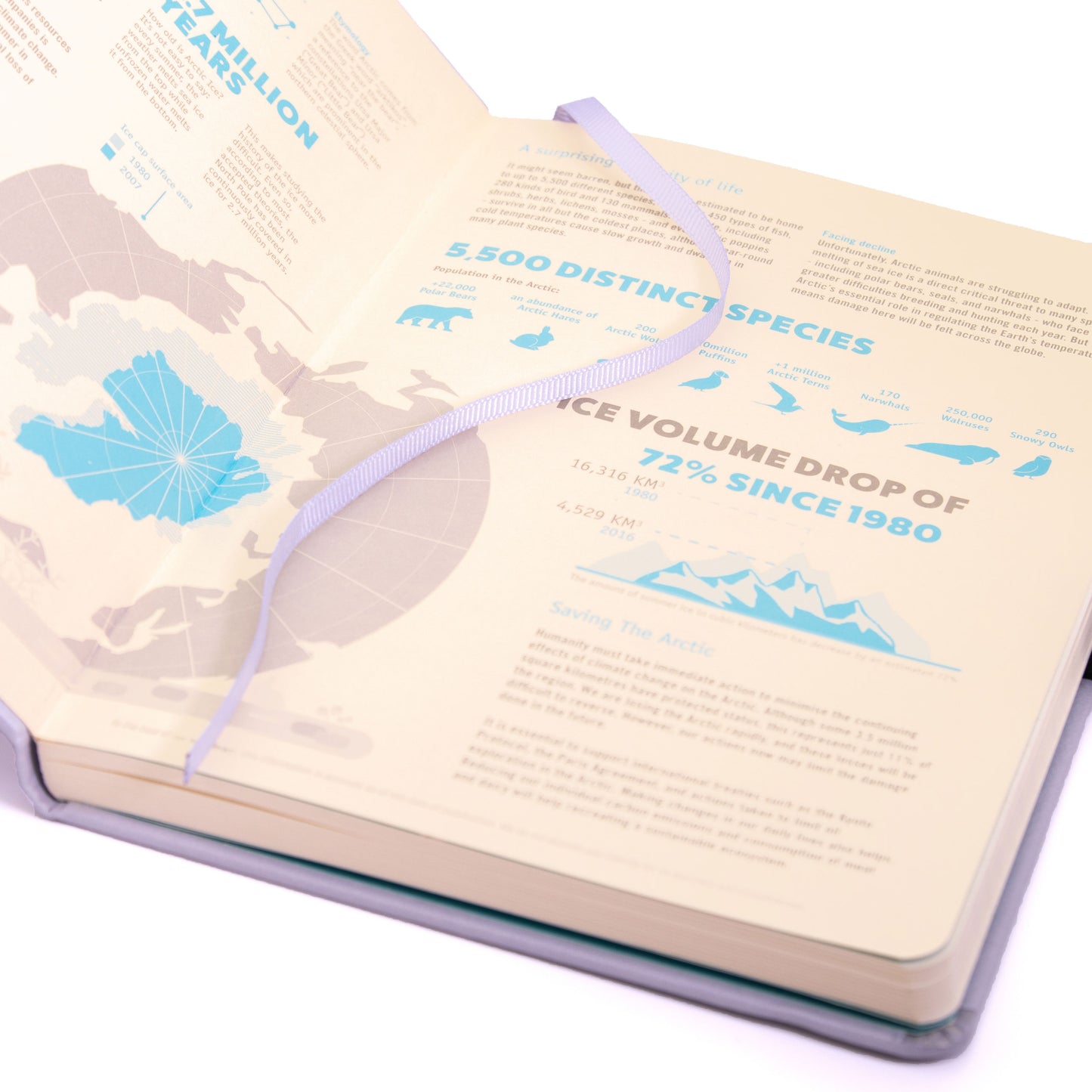Dingbats Earth A5+ Glicine Arctic Notebook