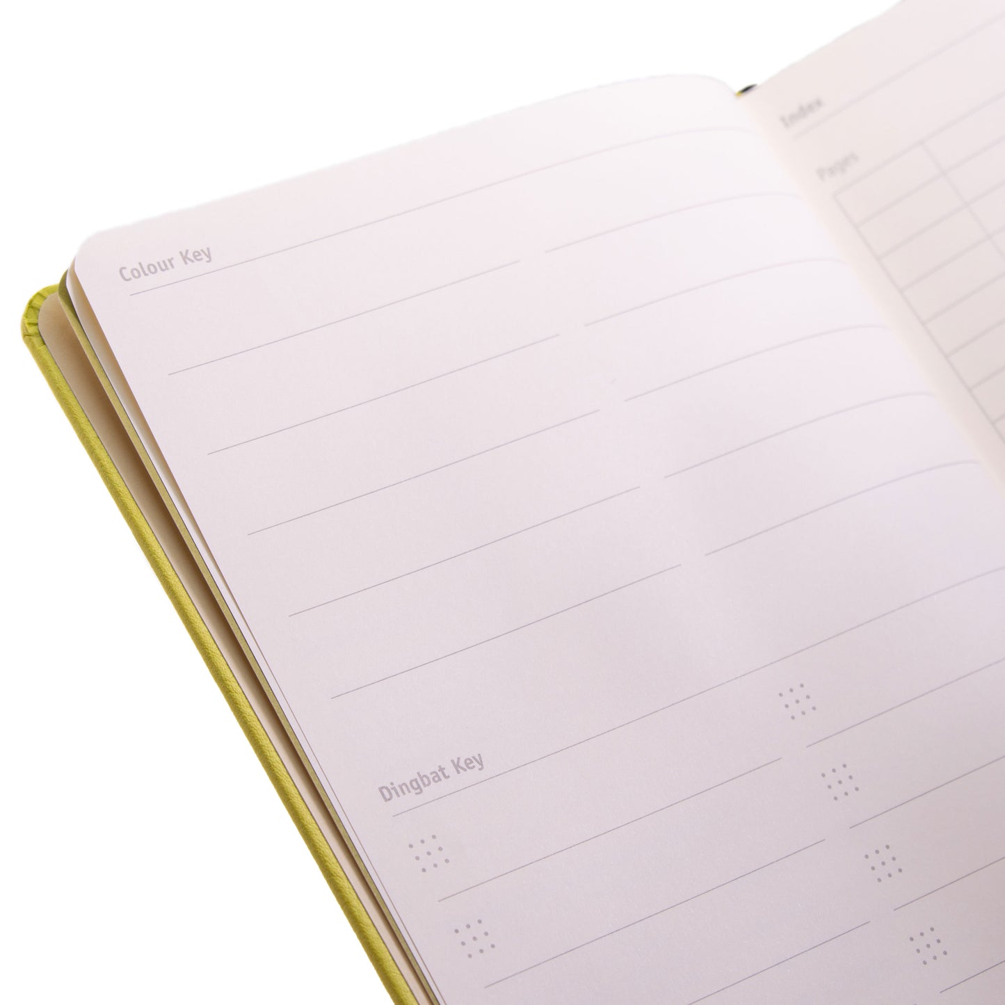 Dingbats Earth A5+ Sky Blue Great Barrier Reef Notebook